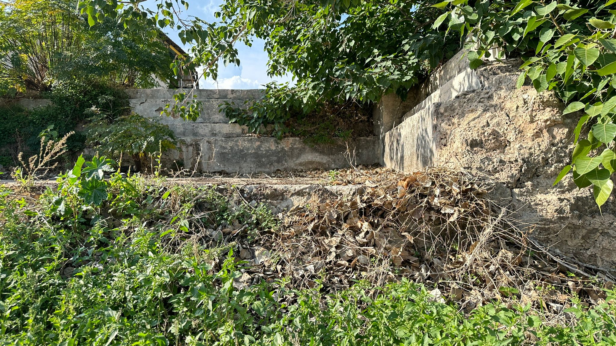 WhatsApp Image 2024-01-06 at 10.35.15 (1).jpg